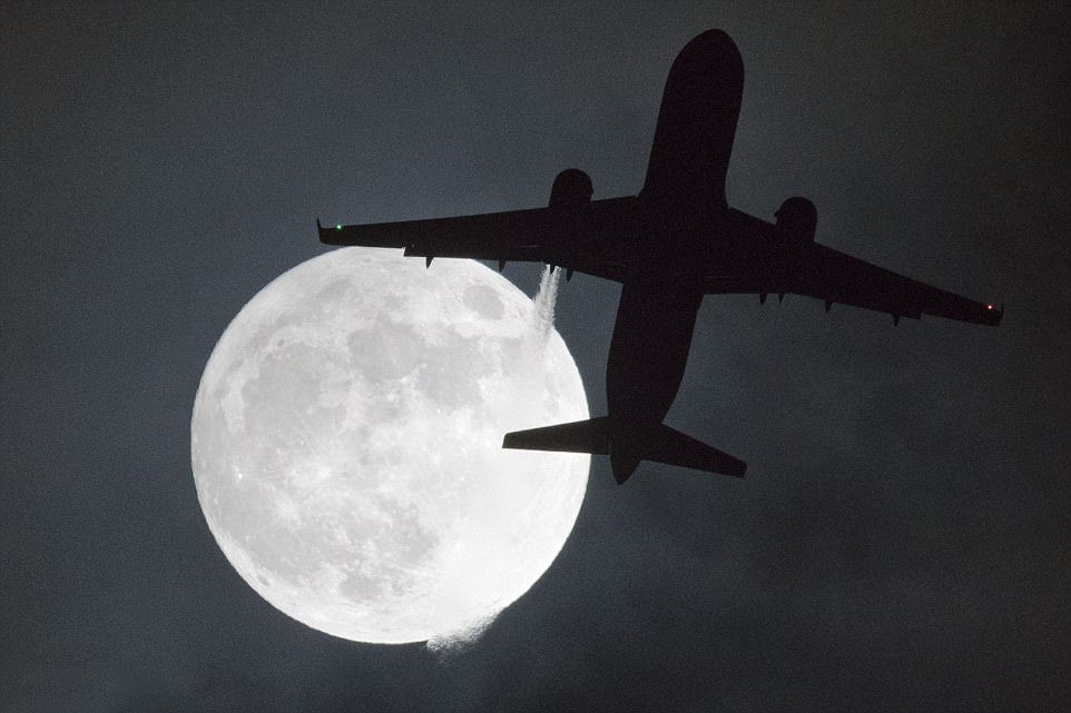 今年1月1日，倫敦希斯羅機場上空一架飛機從“超級月亮”下經過。（圖源：AFP）