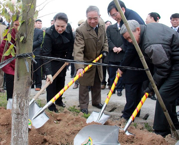 國會主席阮氏金銀和海陽省幹部、人民一同參加植樹活動。（圖源：VOV）