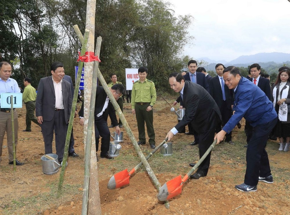 國家主席陳大光發動植樹節。（圖源：顏創）