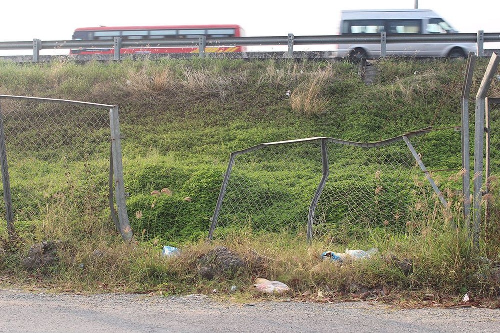 胡志明市-忠良高速公路的B40保護網 不少段被盜切、破壞。