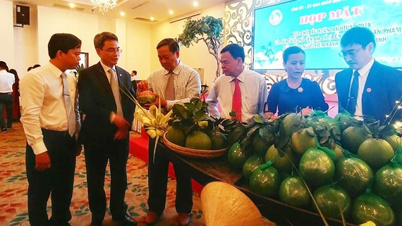 檳椥省領導介紹綠皮柚特產。（圖源：銜倫）
