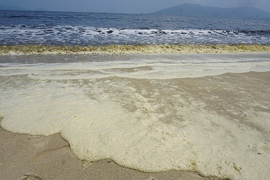 呈黃色且帶臭味的海水泡沫疑遭嚴重污染。（圖源：壬申）