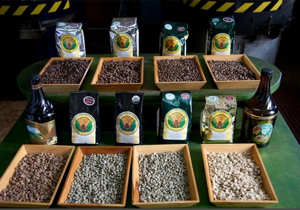 哥斯達黎加對外貿易公司(PROCOMER)近日公佈的市場研究報告表明，哥斯達黎加出口的烘焙咖啡具有非常大的發展潛力。（圖源：互聯網）