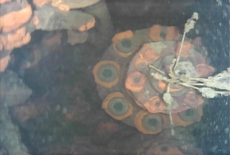 東京電力公司公佈了首次使用水下機器人拍攝到的福島第一核電站3號機組內的具體狀況。（圖源：視頻截圖）