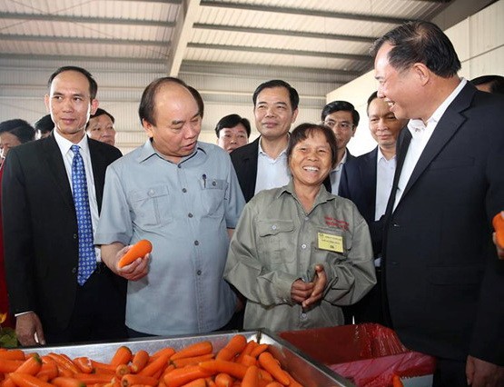 政府總理阮春福參觀農業生產模式。（圖源:Zing）