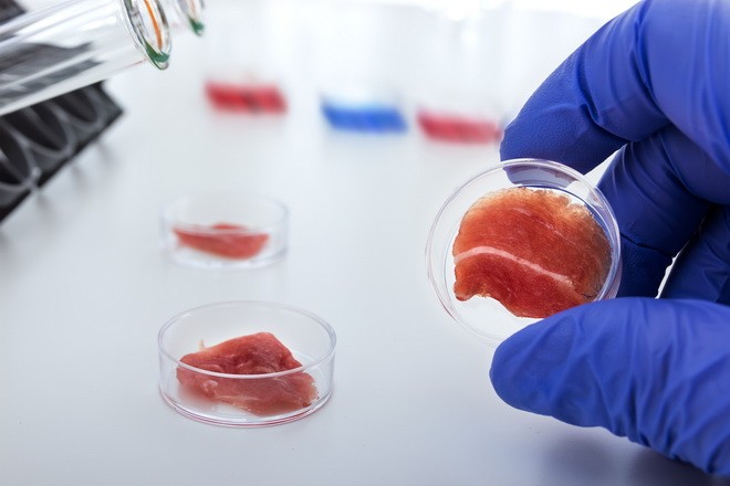 實驗室培育的人造肉。