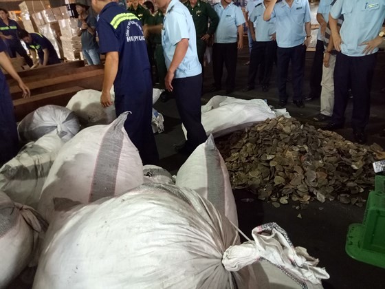 桔萊港海關分局檢查並發現 7.3 噸疑是穿山甲鱗片。（圖源：丹元）