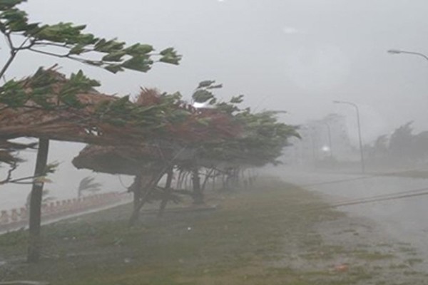 市防範天災與救援指委會：若超強颱風(10至13級)登陸本市的防範和應對方案顯示，預計本市24個郡、縣將有50萬7514人必須疏散到安全及堅固的地點。（示意圖源：互聯網）