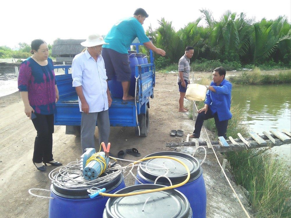 陳文善農民獲協助20萬隻蝦苗以投入飼養活動。