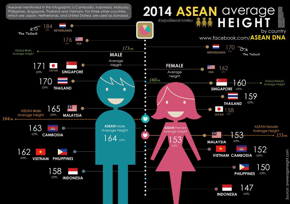 東南亞各國成年男性/女性的平均身高。（圖源：Asean DNA）