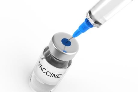 近 27 萬劑狂犬病疫苗抵越。（示意圖源：互聯網）