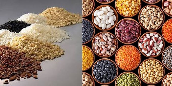 我國企業特別關注阿根廷所出產的五穀雜糧。（圖源：VOV）
