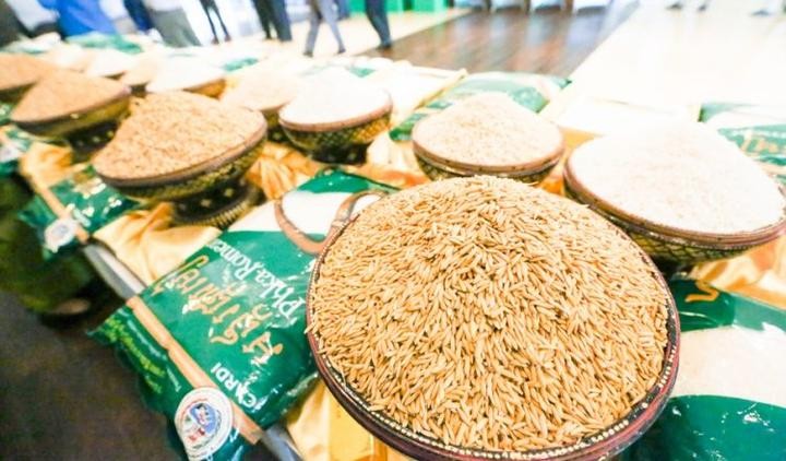 前５月柬埔寨向近 70 個國家出口大米。（示意圖源：互聯網）