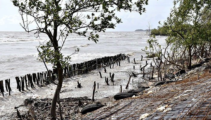 目前金甌省的河畔與海岸坍塌情況日益嚴重且複雜多變，難以預測。（圖源：金甌角報）
