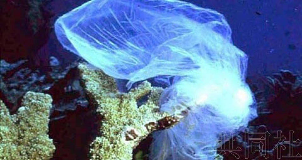 聯合國環境規劃署(UNEP)6月30日匯總的調查結果顯示，已有至少67個國家及地區採取限制措施，禁止生產塑料購物袋和泡沫塑料餐盒等引起海洋污染的一次性塑料製品或在使用時收費。（示意圖源：共同社）