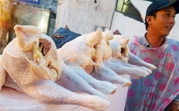 圖為平盛郡吳必素街旁兜售的廉價蛋雞。（圖源：阮智）