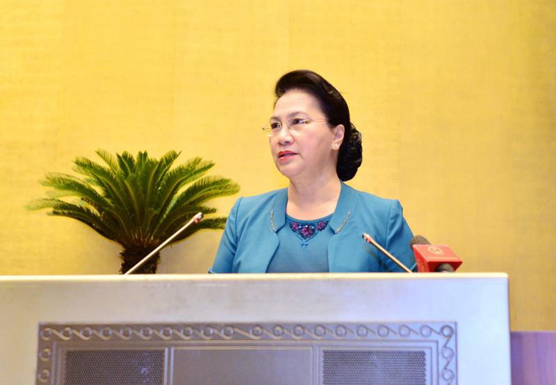 國會主席阮氏金銀在會議上發言。（圖源：Quochoi.vn）
