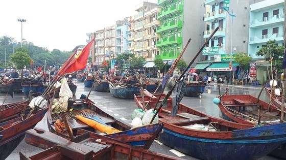 漁船歸港避颱風。