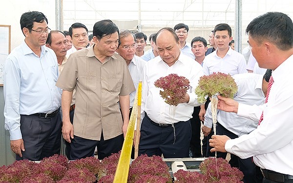 政府總理阮春福視察德仲縣聯義鎮豐翠公司的種子生產區。（圖源：光孝）