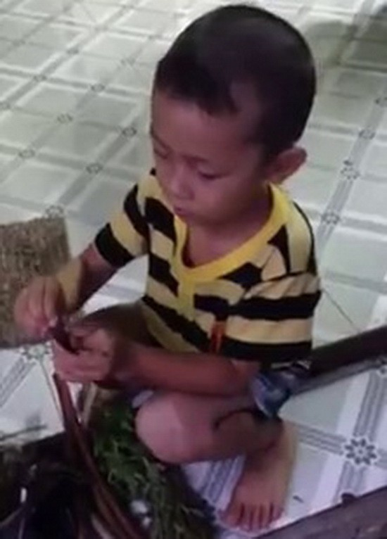 4歲多時，國盛已懂得給母親摘菜。