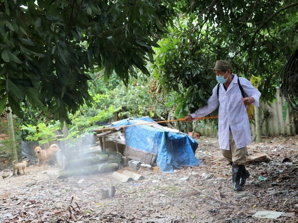 獸醫人員在海防市安陽縣安紅鄉的禽流感疫區進行噴射消毒。（圖源：明秋）