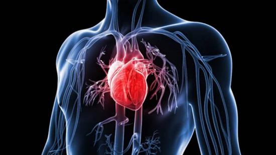 新研究發現，長期處於輕度空氣污染環境中也可能會影響心臟，導致與心力衰竭早期階段類似的心臟變化。（示意圖源：互聯網）