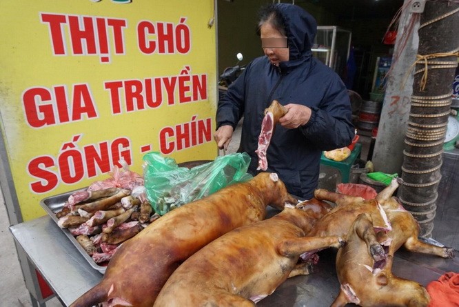 河內市人委會勸告民眾不吃狗肉。（示意圖源：互聯網）
