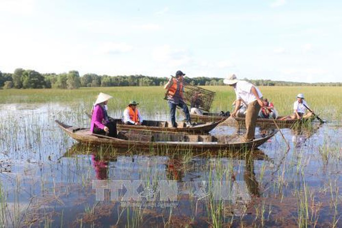 遊客在同塔省鳥棲國家公園體驗洪水季生活。（圖源：越通社）
