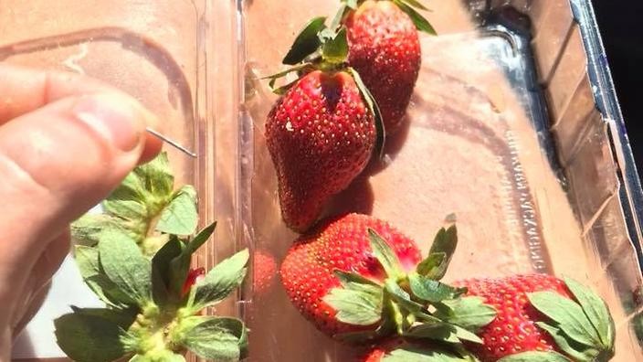 澳大利亞品牌“莓果迷”的草莓中，曾被插入針頭，致一人入院。（圖源：互聯網）