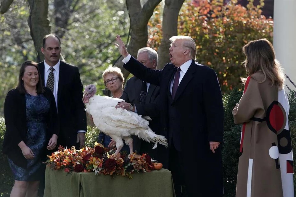 特朗普出席感恩節總統赦免火雞儀式。（圖源：Getty Images）