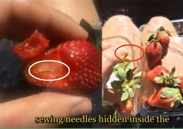 新西蘭報告第二起草莓藏針事件。（圖源：互聯網）
