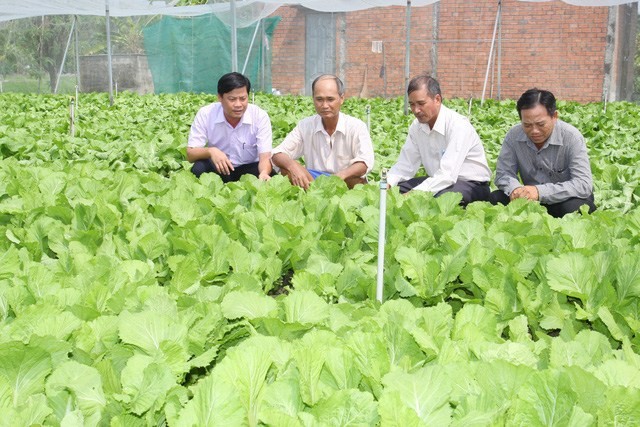 黃文光雄主席（左一）正介紹隆溪芥菜園。