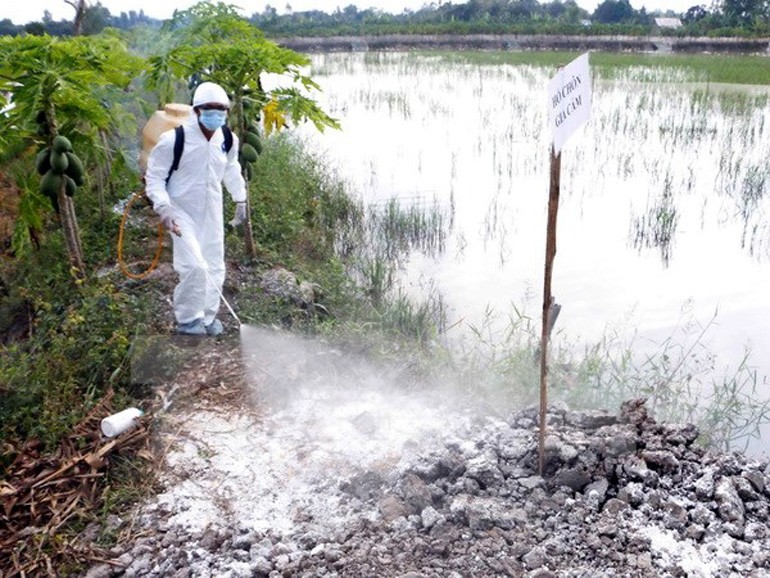 獸醫人員在廣寧省仙安縣東海鄉的禽流感疫區進行噴射消毒。（圖源：互聯網）