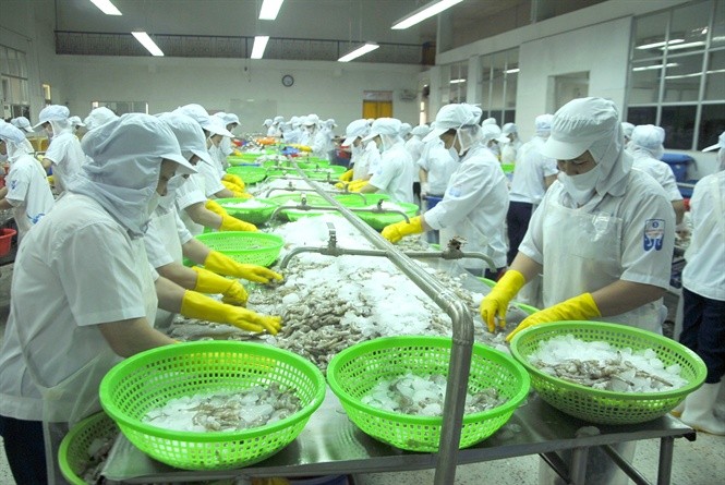 VASEP：今年越南預計輸往韓國的蝦量價值達5億美元，比2018年增29.5%。（示意圖源：互聯網）