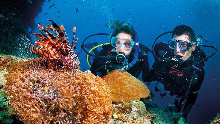 遊客參加海底觀珊瑚活動。（圖源：travel.com）