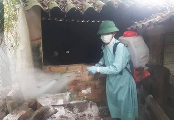 太平省進行消毒防控非洲豬瘟蔓延。（圖源：慶玲）
