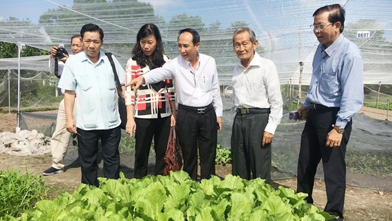 市越南祖國陣線委員會每年進行考察、檢查農產生產領域的食品衛生安全。 