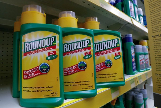 圖為含有草甘膦(glyphosate)成份的RoundUp牌除草劑。（圖源：路透社）