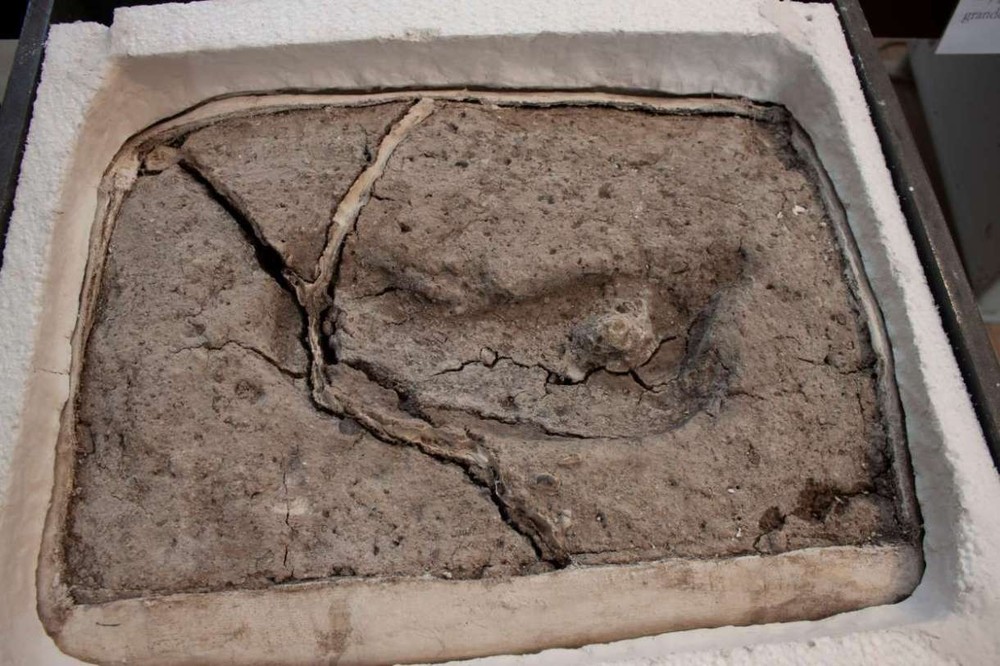 考古研究人員指出，智利南部發現1萬5600年前的人類腳印。（圖源：路透社）