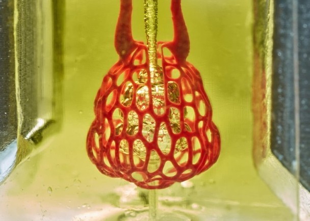 科學家以水凝膠模擬人體血管。（圖源：互聯網）