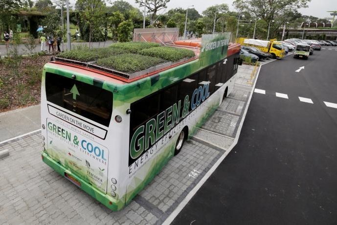 新加坡測試在巴士車頂種植植物，探討是否能有效降低車內溫度，節省能源成本。（圖源：互聯網）