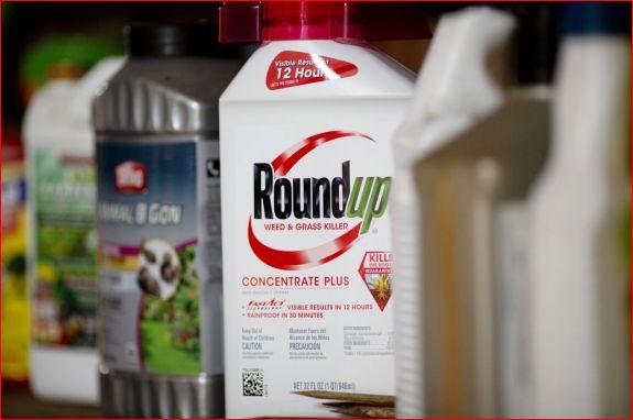 圖為拜耳公司(Bayer)生產的“Roundup”草甘膦除草劑。（圖源：互聯網）
