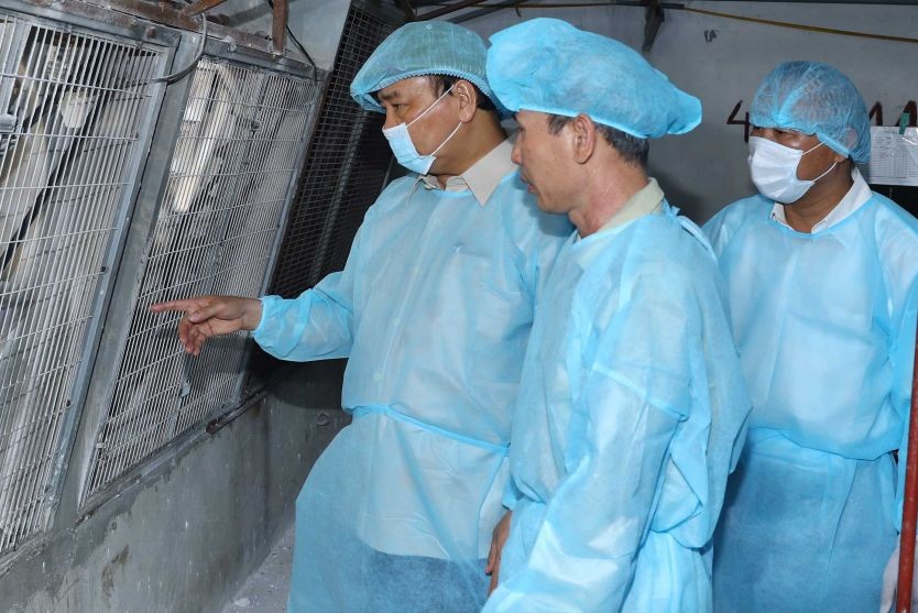阮春福總理檢查養豬場的防範豬瘟工作。（圖源：越通社）