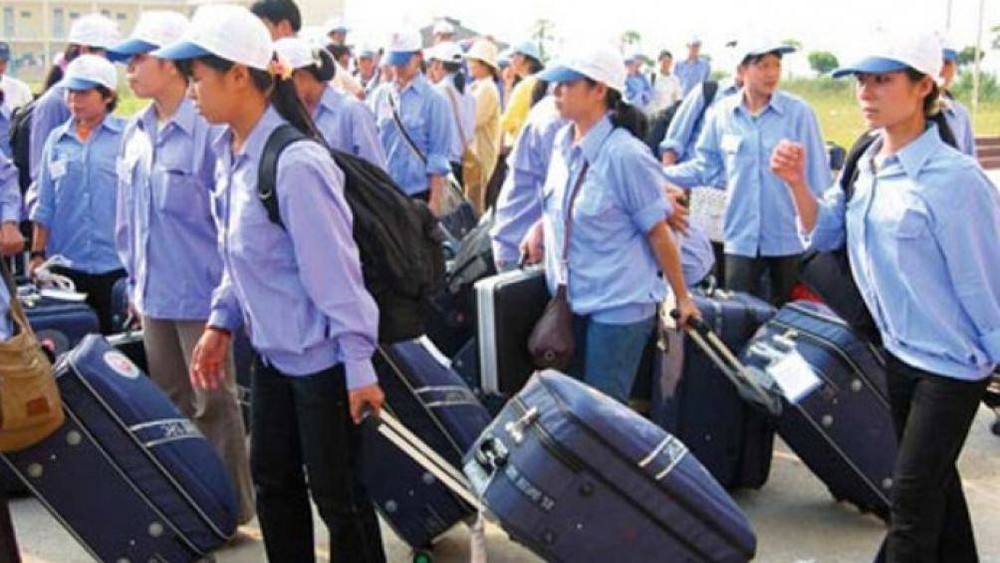 自年初至今，金甌省已有逾70人登記出國有期限工作。（示意圖源：互聯網）