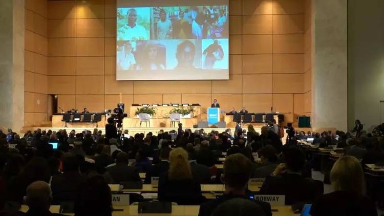 第72屆世界衛生大會當地時間20日在日內瓦開幕。（圖源：互聯網）