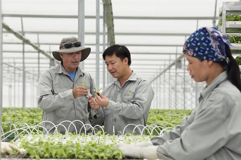 VinEco高科技農場勞工在悉心聽取外國專家講解農業技術。（圖源：耀玉）