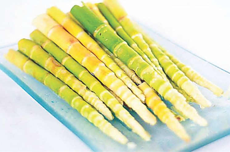 竹筍富含氨基酸，一直被人們作為素食中的特殊美味。（圖源：互聯網）