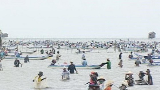 連日來，約有上百人湧至岬角灘開採蛤蜊。（圖源：CTV）