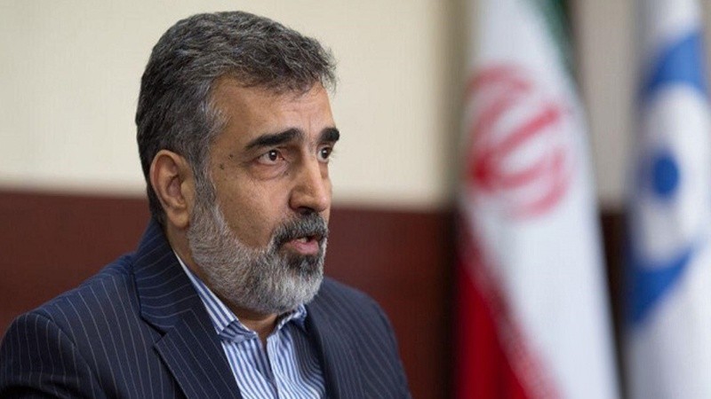 伊朗原子能組織發言人卡莫爾萬迪。（圖源：互聯網）