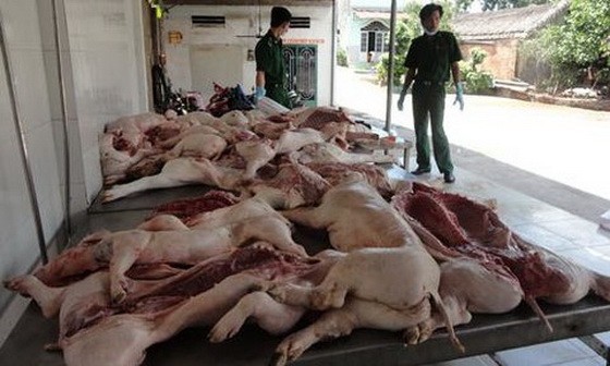 市公安部門配合有關職能力量查獲一批來歷不明的豬肉。（圖源：誠鐘）